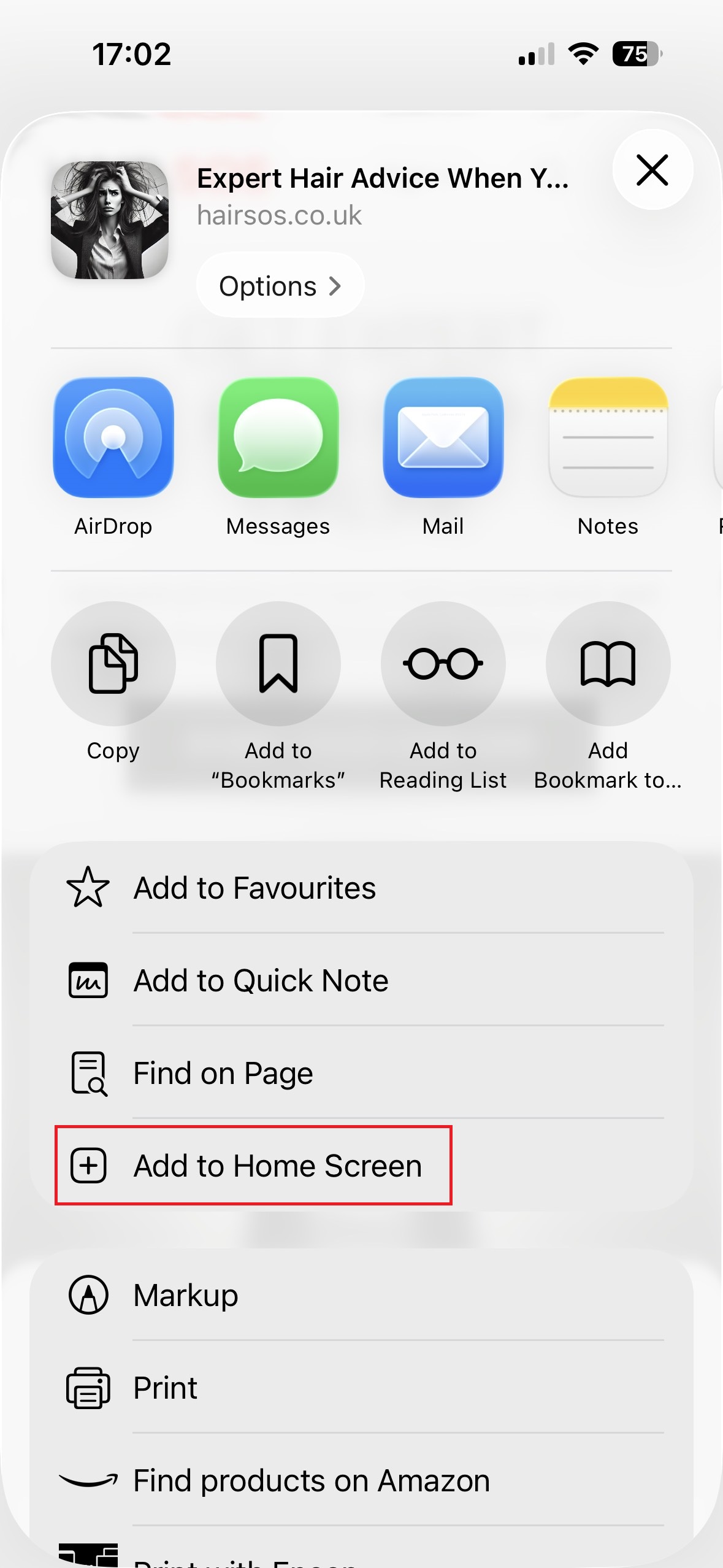 Select Add to Home Screen option